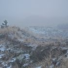 Frost in den Dünen...