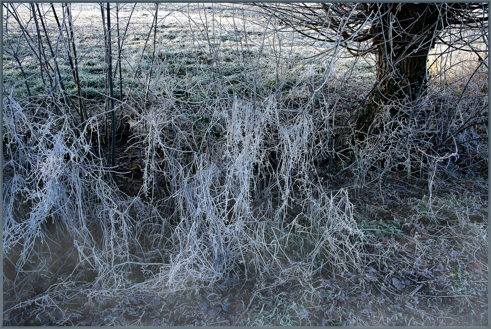 Frost in der Nacht ...