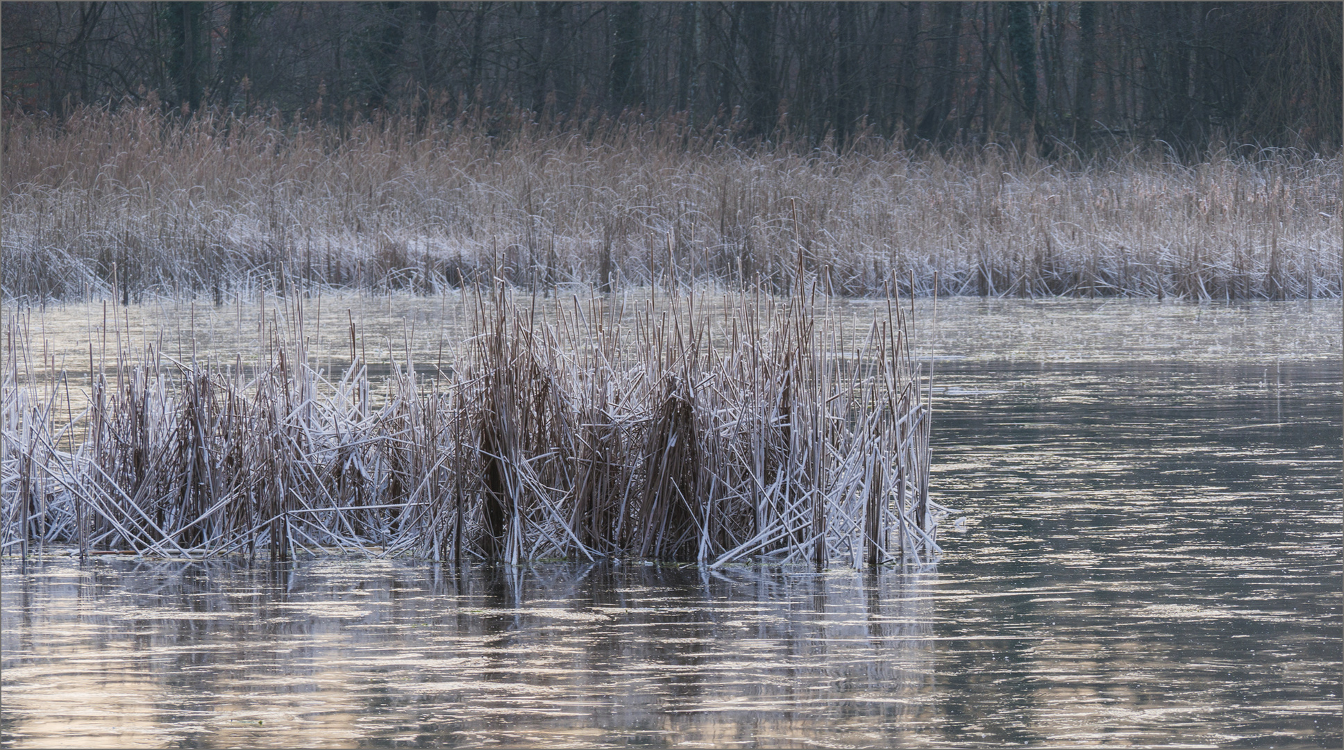 Frost in Farbe