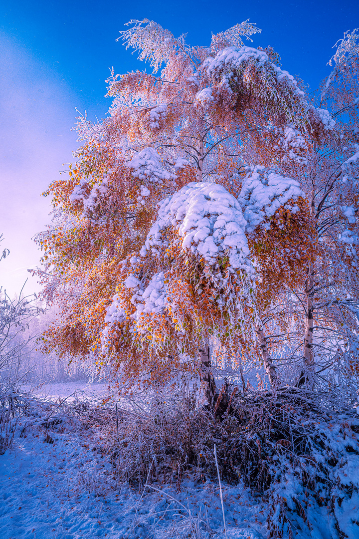 Frost in Geschinen