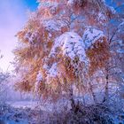 Frost in Geschinen