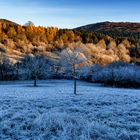 Frost in Hessen