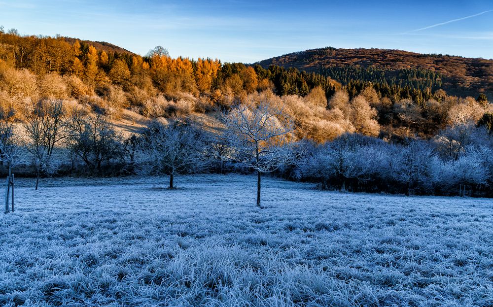 Frost in Hessen