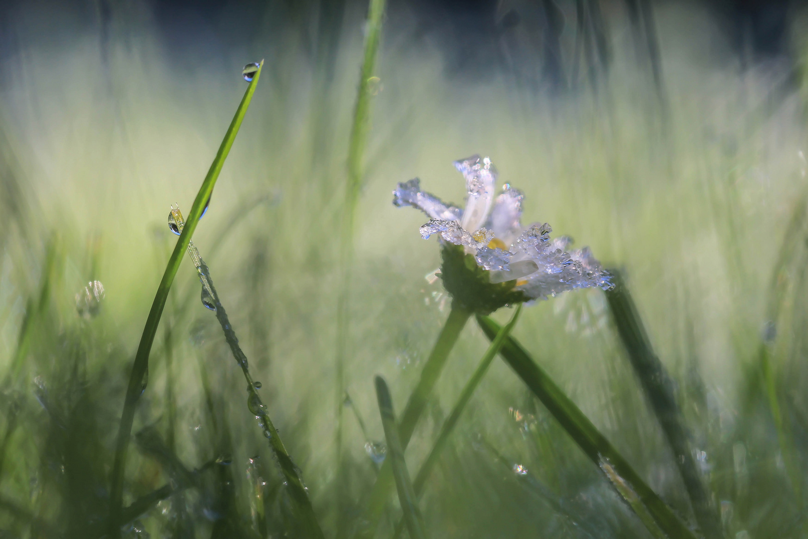 Frost in NRW