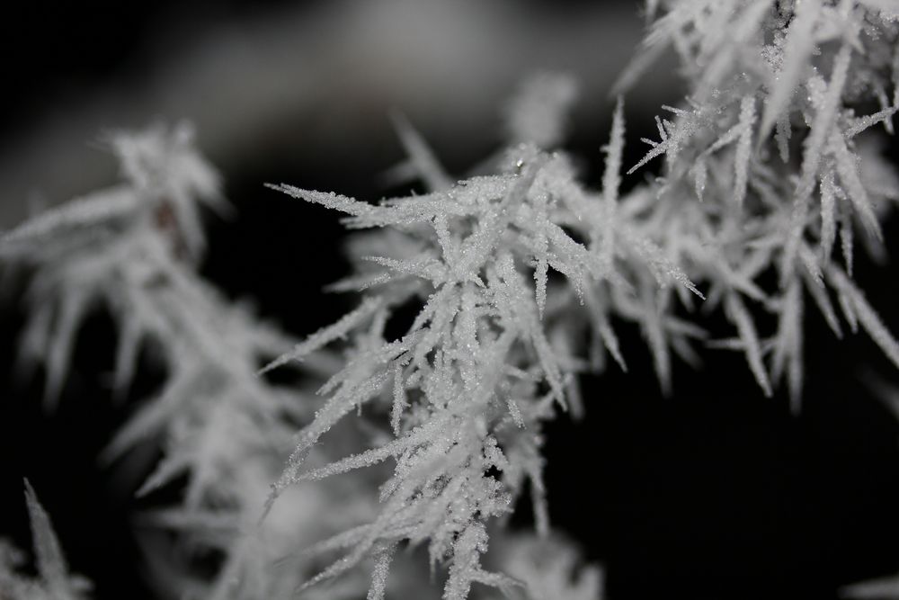 Frost in Schleswig-Holstein