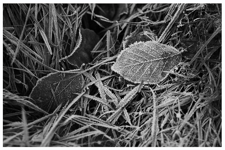 Frost in s/w