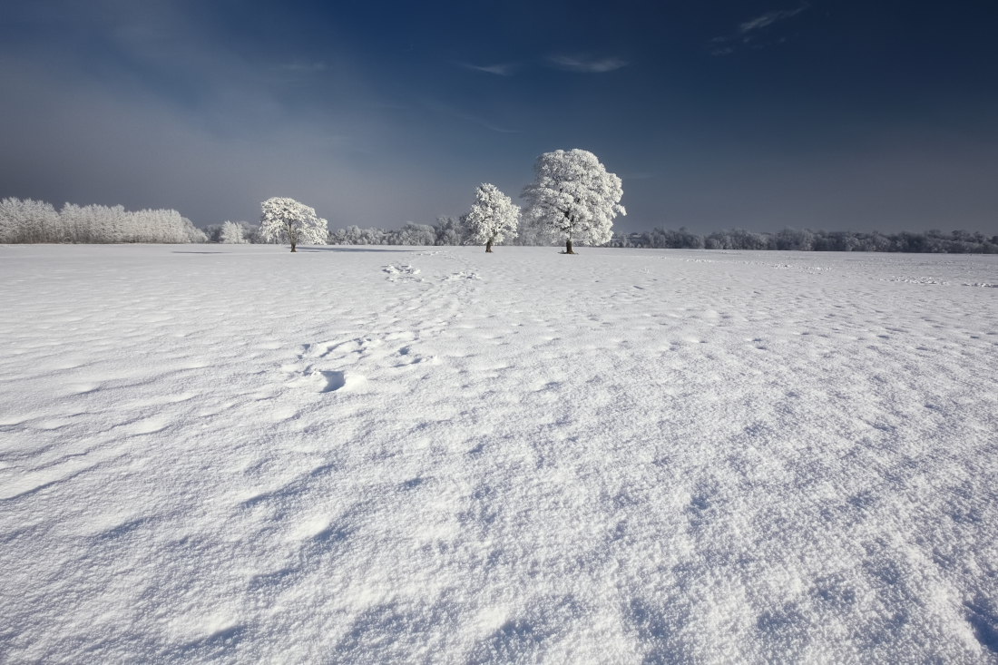 Frost (Ireland)