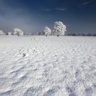 Frost (Ireland)