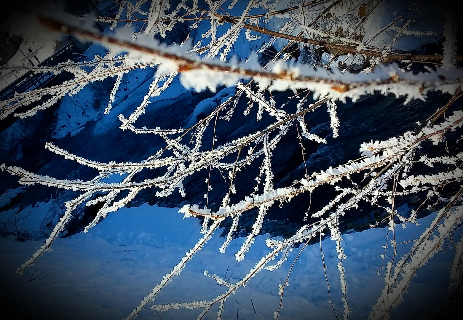 Frost IV