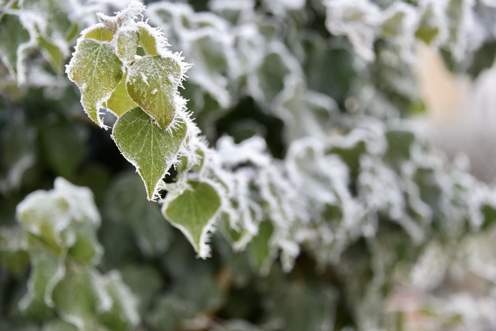 Frost kann so schön sein 4/7