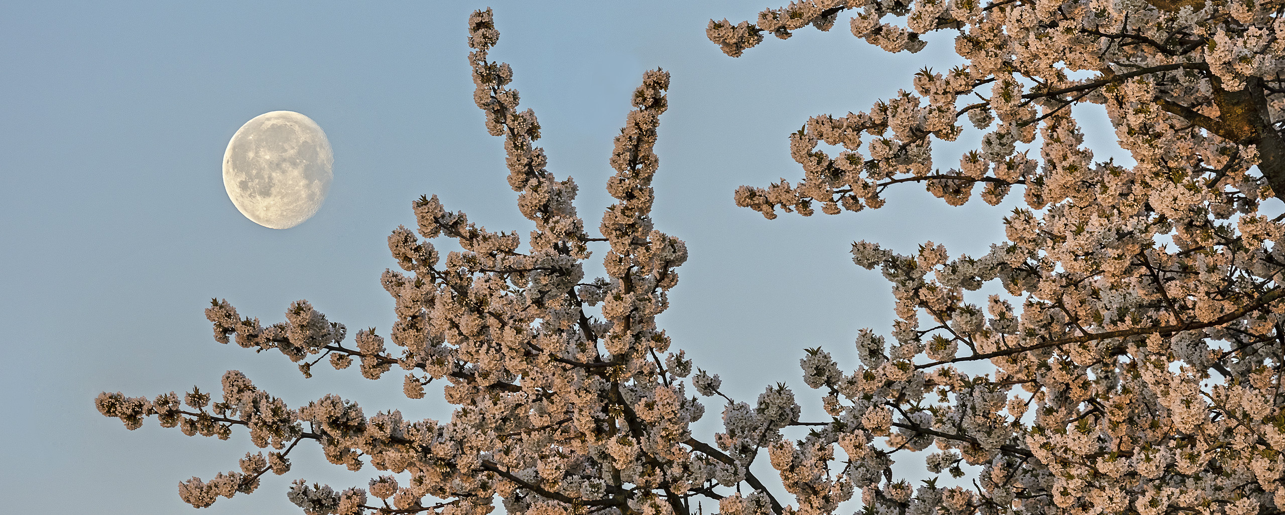 FROST können wir jetzt nicht mehr gebrauchen