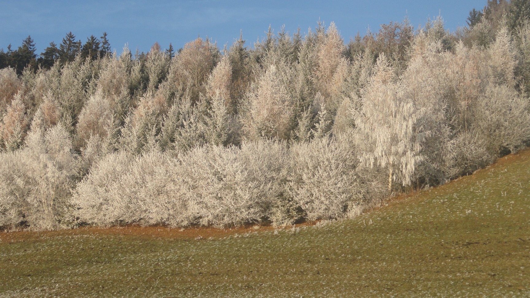 Frost mit Sonne