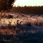 Frost-Morgen im Oktober