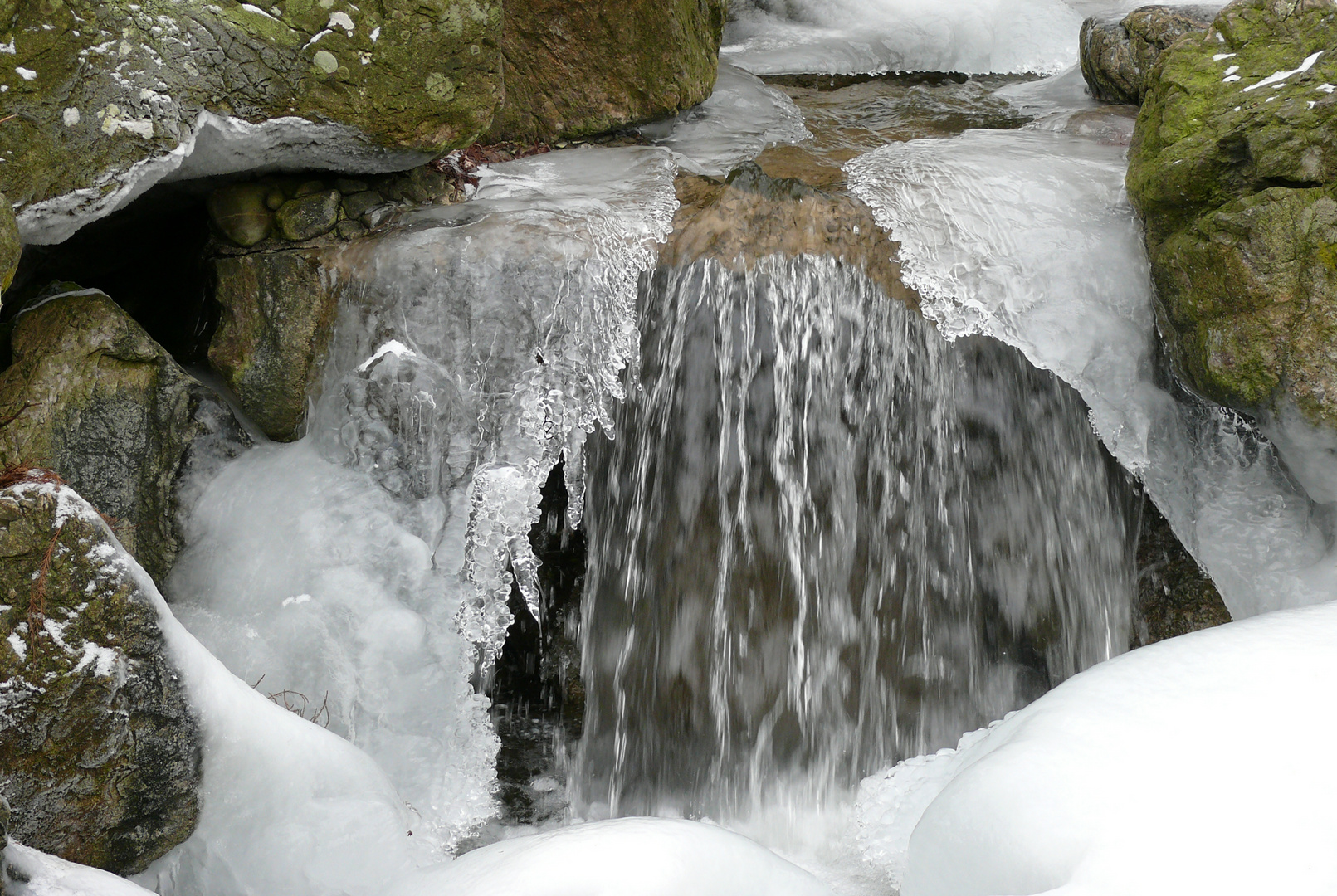 Frost-Nachlese