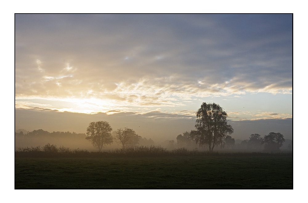 Frost & Nebel