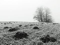 [ Frost & Nebel ]