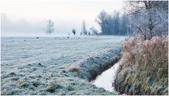 Frost, Nebel und Rehe