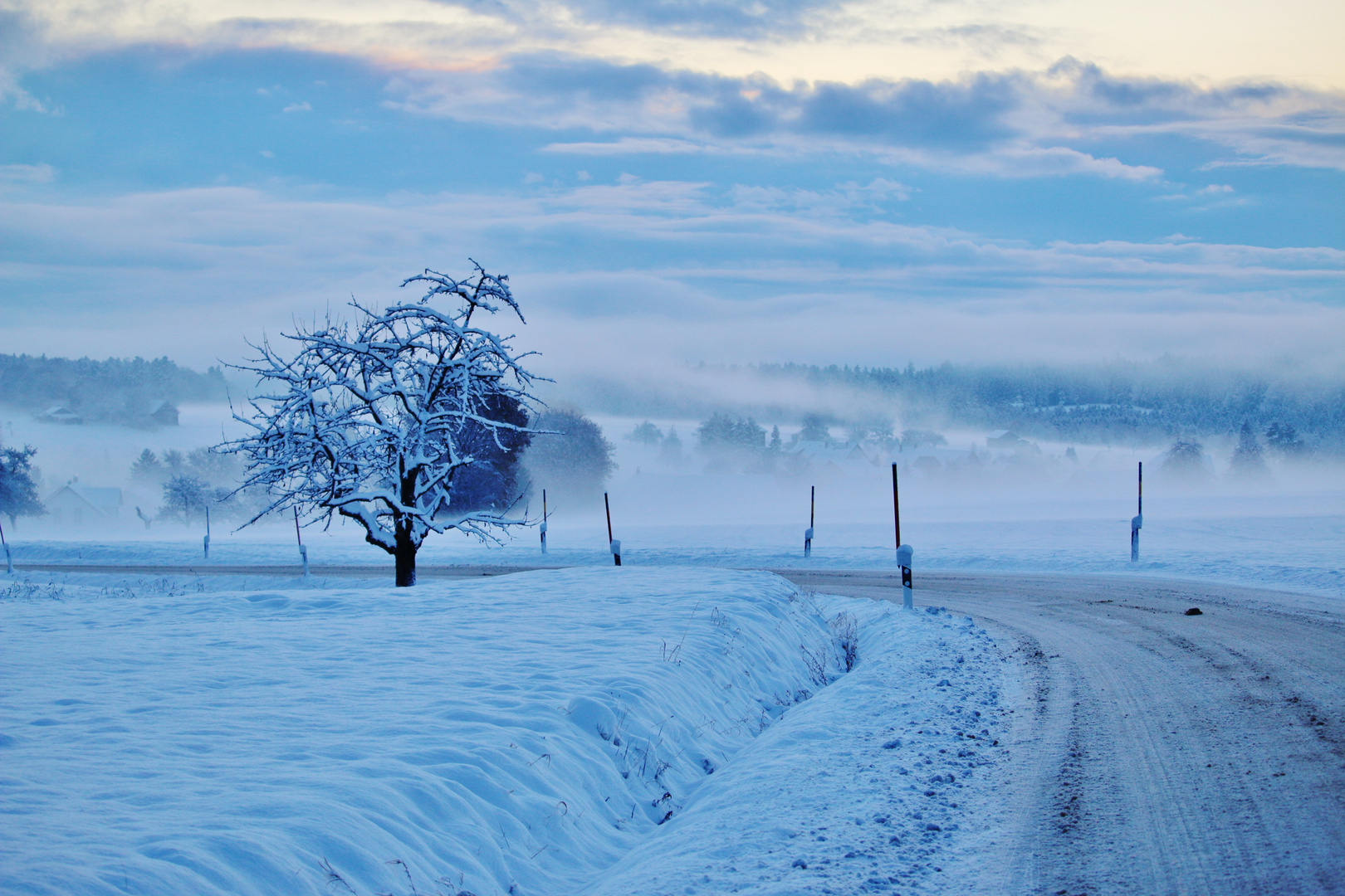 Frost, Nebel und Schnee (= Winter )