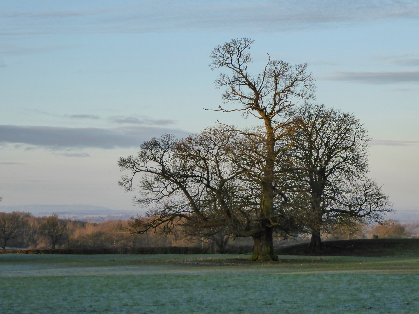 Frost on the ground. Sun rising on the horizon.