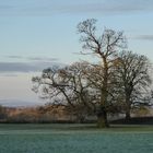 Frost on the ground. Sun rising on the horizon.