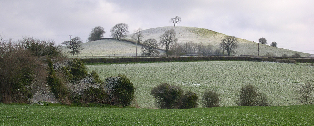 Frost on Two Tree Hill