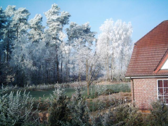 Frost ... schön!