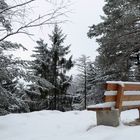 Frost - Schöne Aussicht