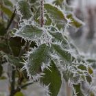 Frost-Stacheln