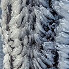 FROST-STARRE auf dem GROSSEN FELDBERG im Taunus (5)