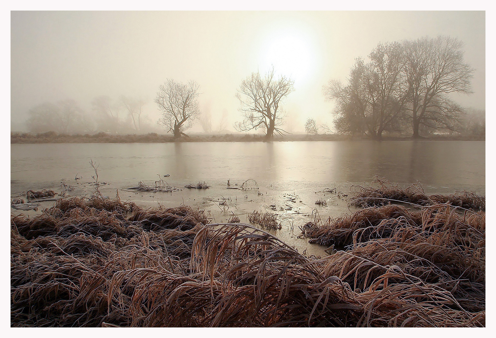 Frost - Stille