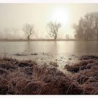 Frost - Stille