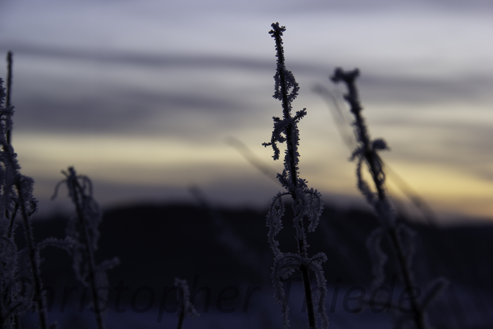 Frost trifft Sonne