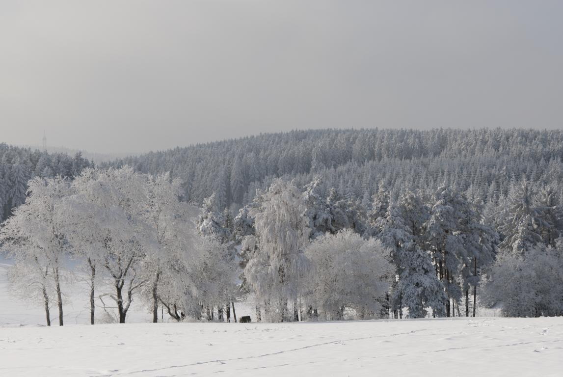 Frost und klarer Himmel