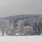 Frost und klarer Himmel