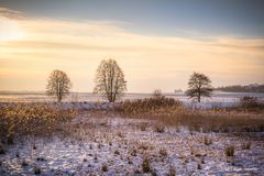 Frost und leichter Wind