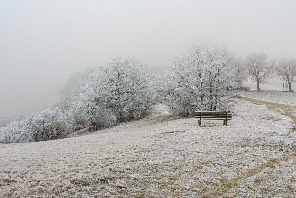 Frost und Nebel 1