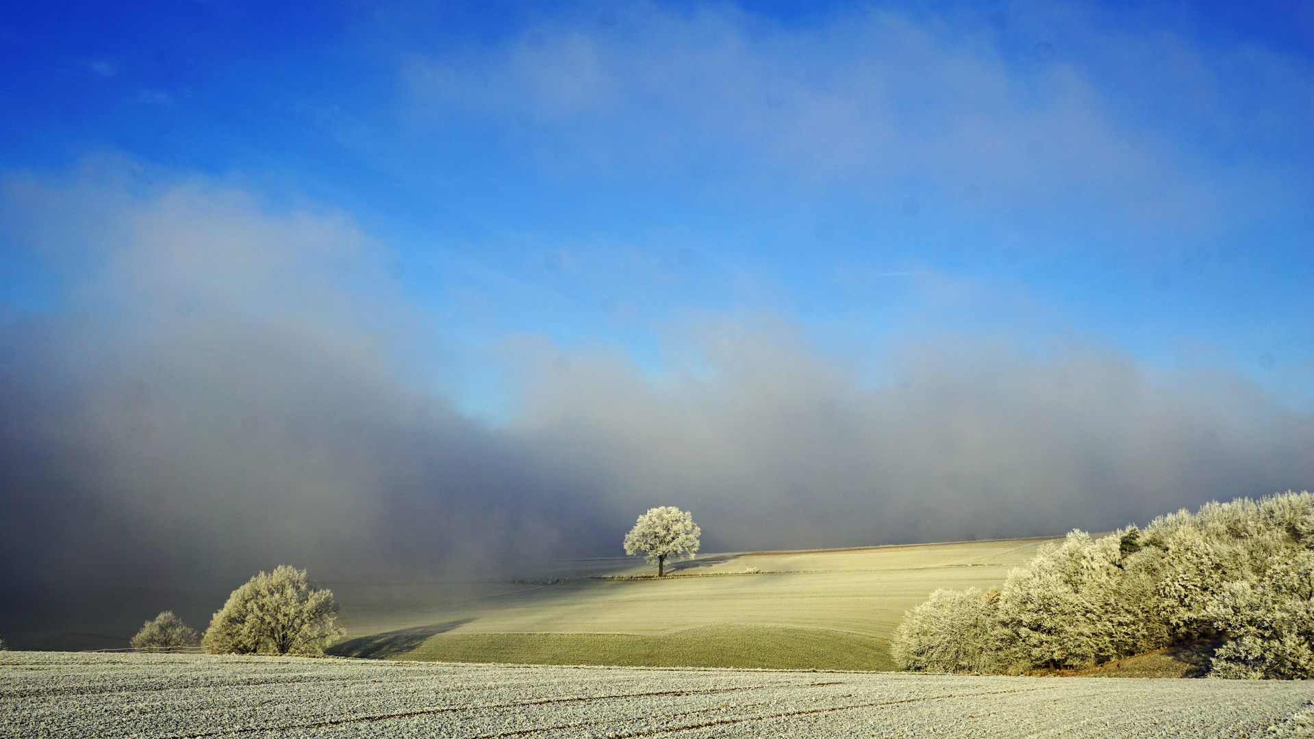 Frost und Nebel