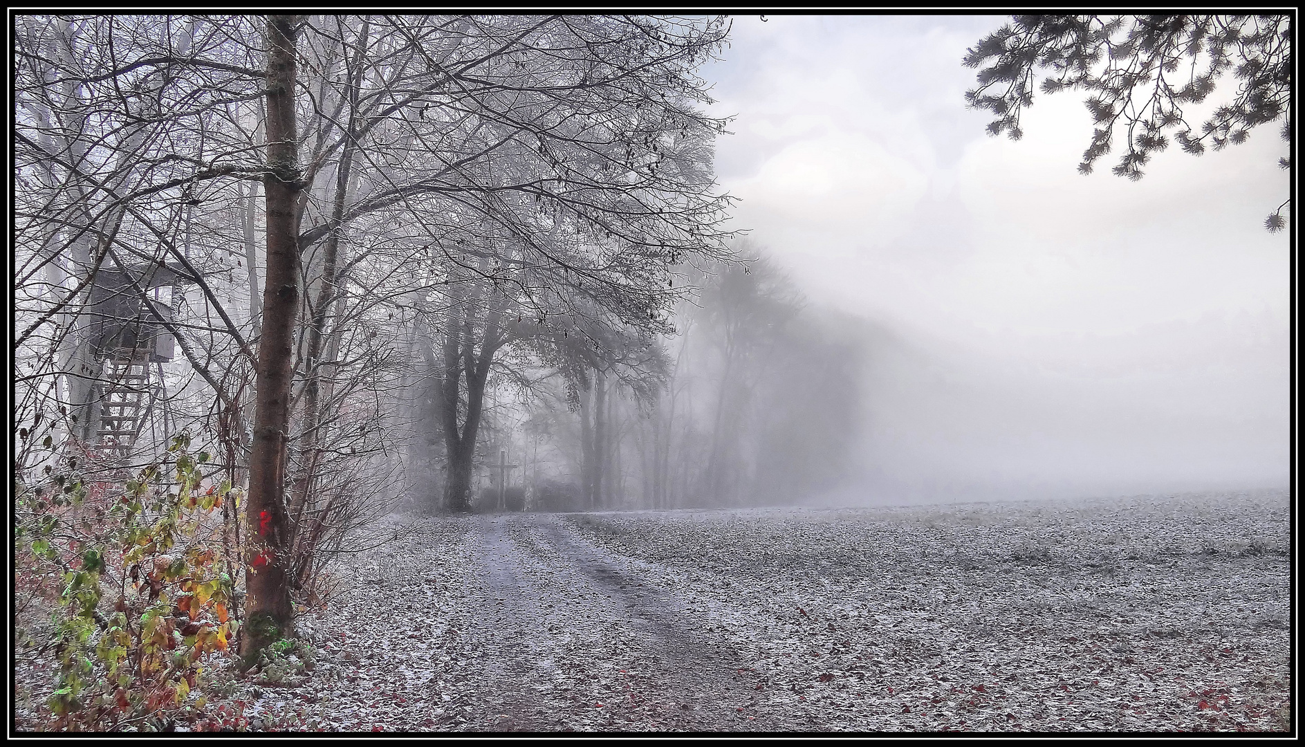 Frost und Nebel