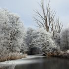 Frost und Nebel