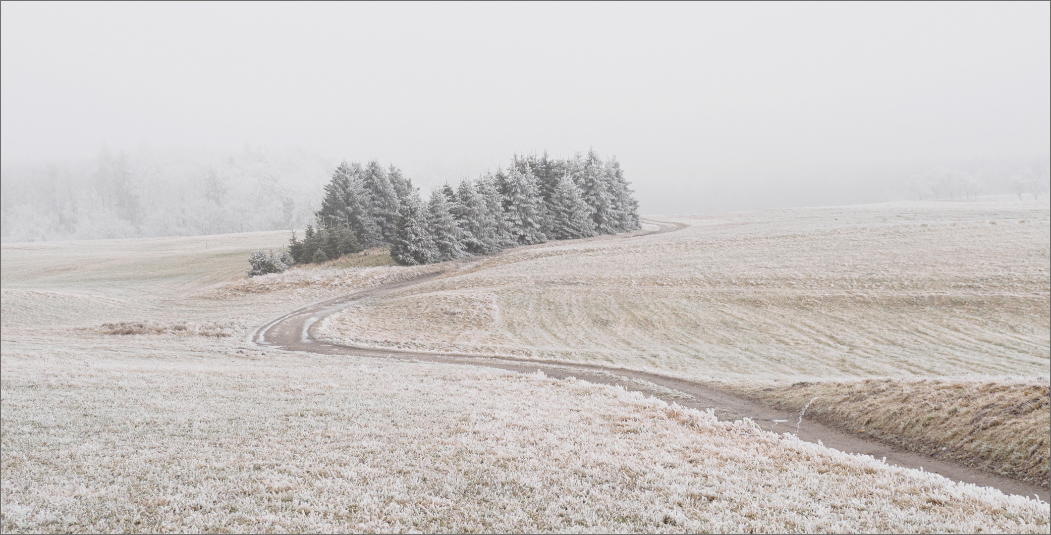 Frost und Nebel