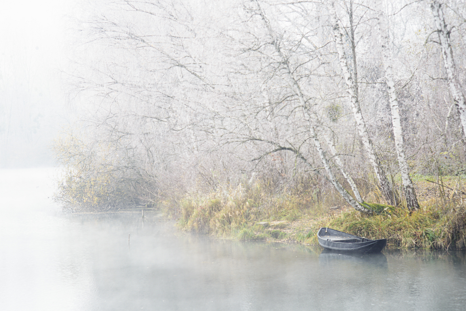 Frost und Nebel am Groschenwasser