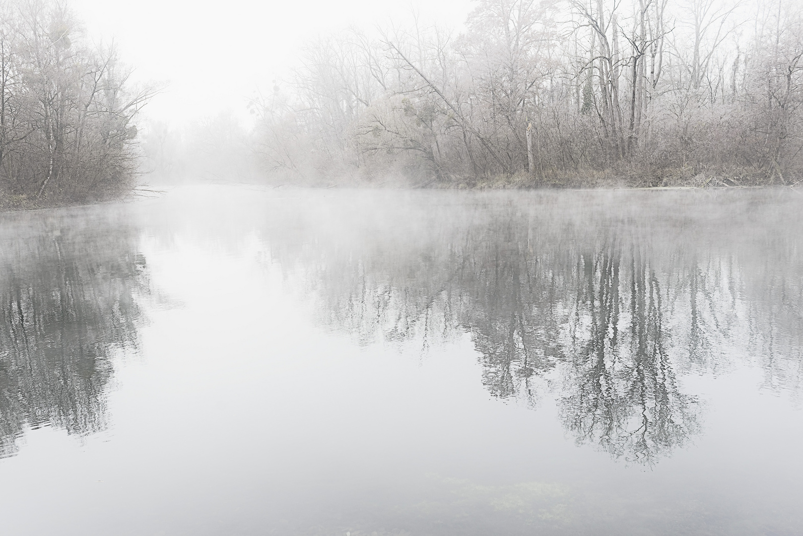 Frost und Nebel am Groschenwasser  II