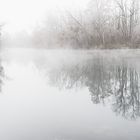 Frost und Nebel am Groschenwasser  II