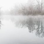 Frost und Nebel am Groschenwasser  II