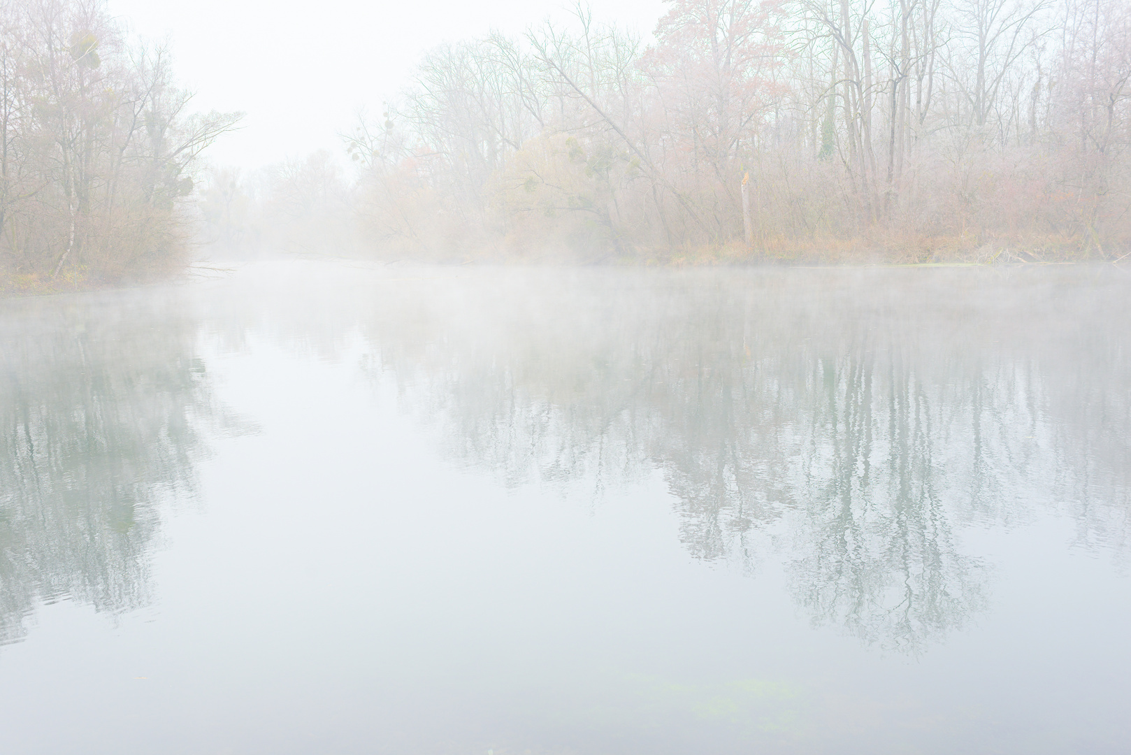 Frost und Nebel am Groschenwasser II new edit II