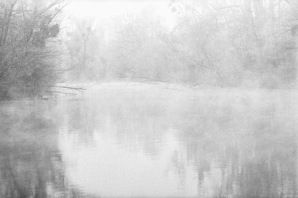 Frost und Nebel am Groschenwasser III