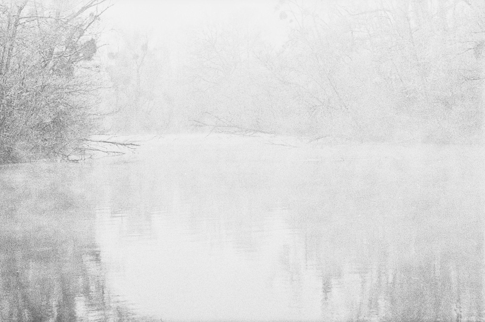 Frost und Nebel am Groschenwasser III