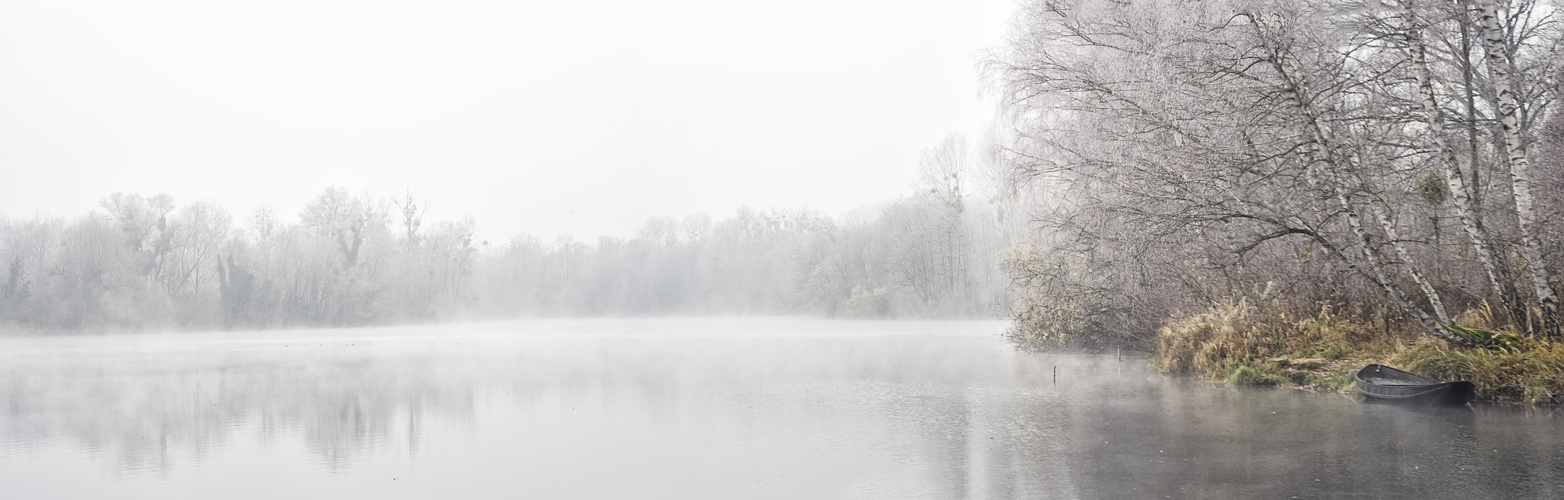 Frost und Nebel am Groschenwasser IV