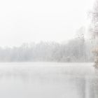 Frost und Nebel am Groschenwasser IV