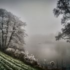 Frost und Nebel am Wümmedeich